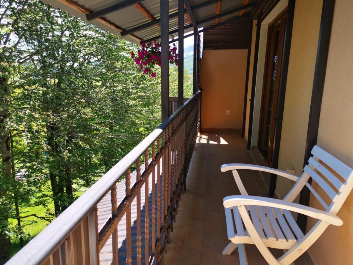 Gorska Vila Apartments Žabljak Extérieur photo