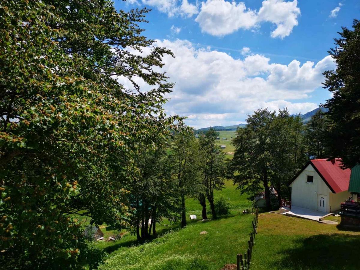 Gorska Vila Apartments Žabljak Extérieur photo