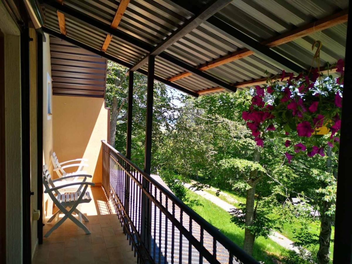 Gorska Vila Apartments Žabljak Extérieur photo