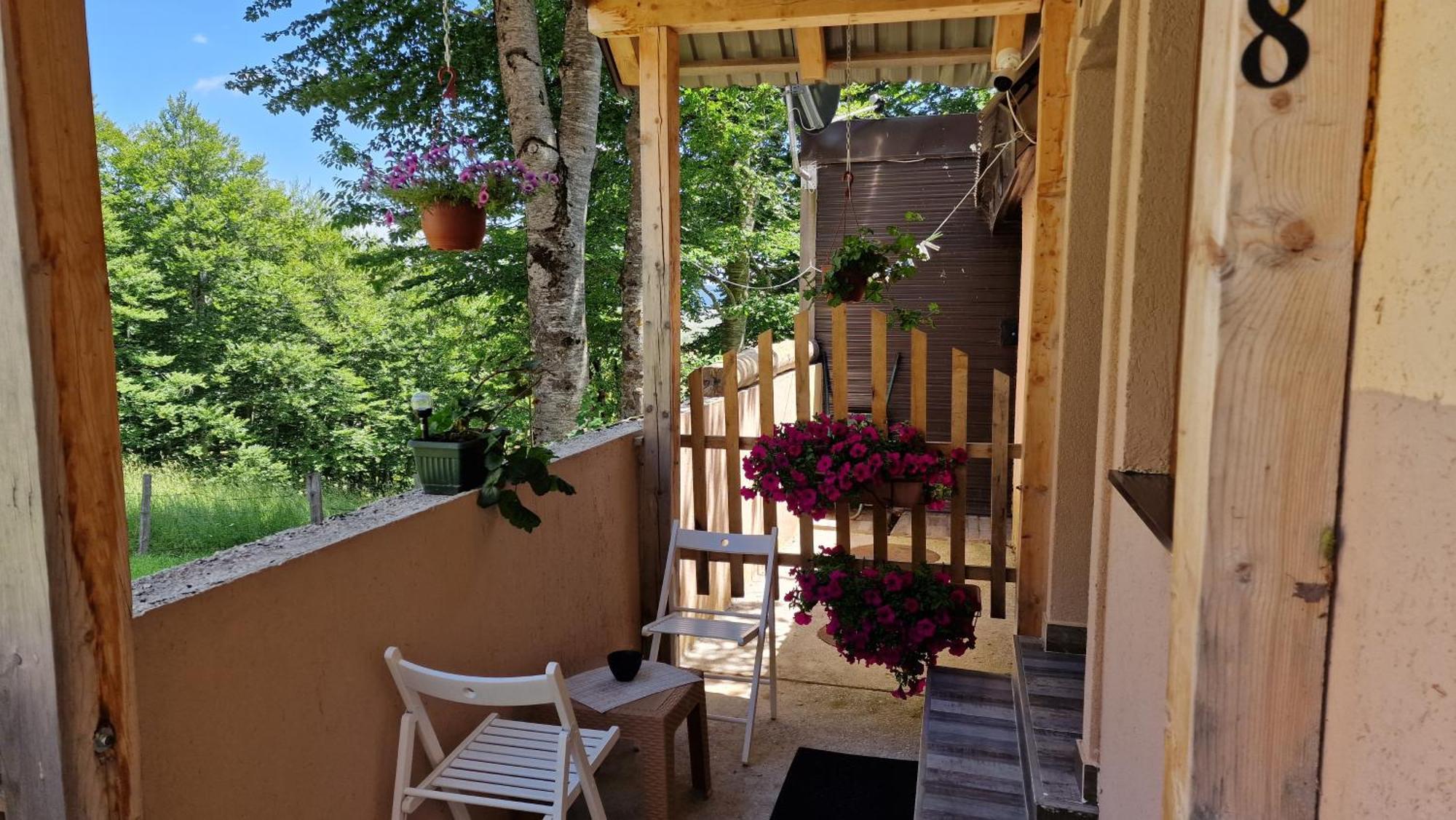 Gorska Vila Apartments Žabljak Extérieur photo