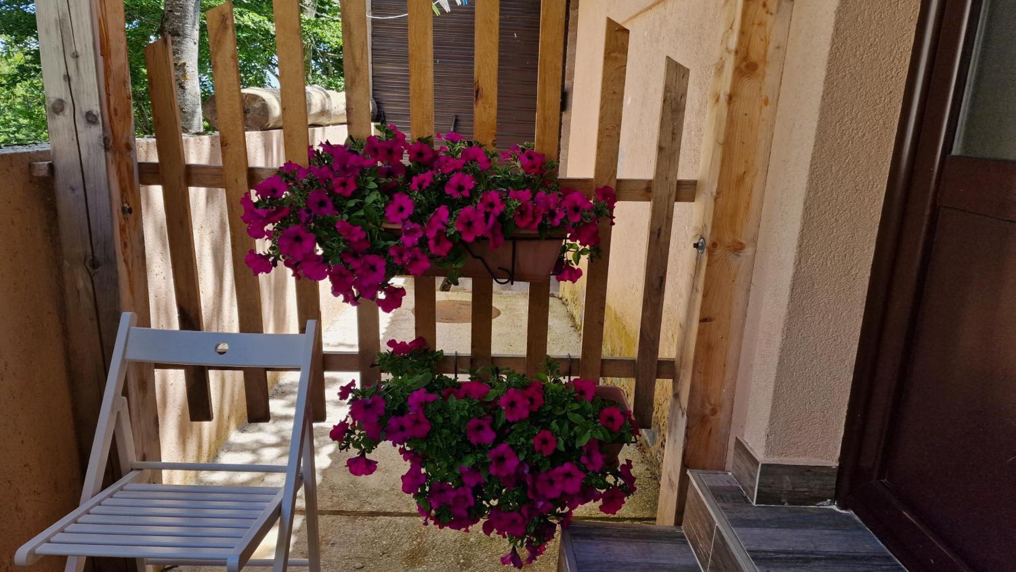 Gorska Vila Apartments Žabljak Chambre photo