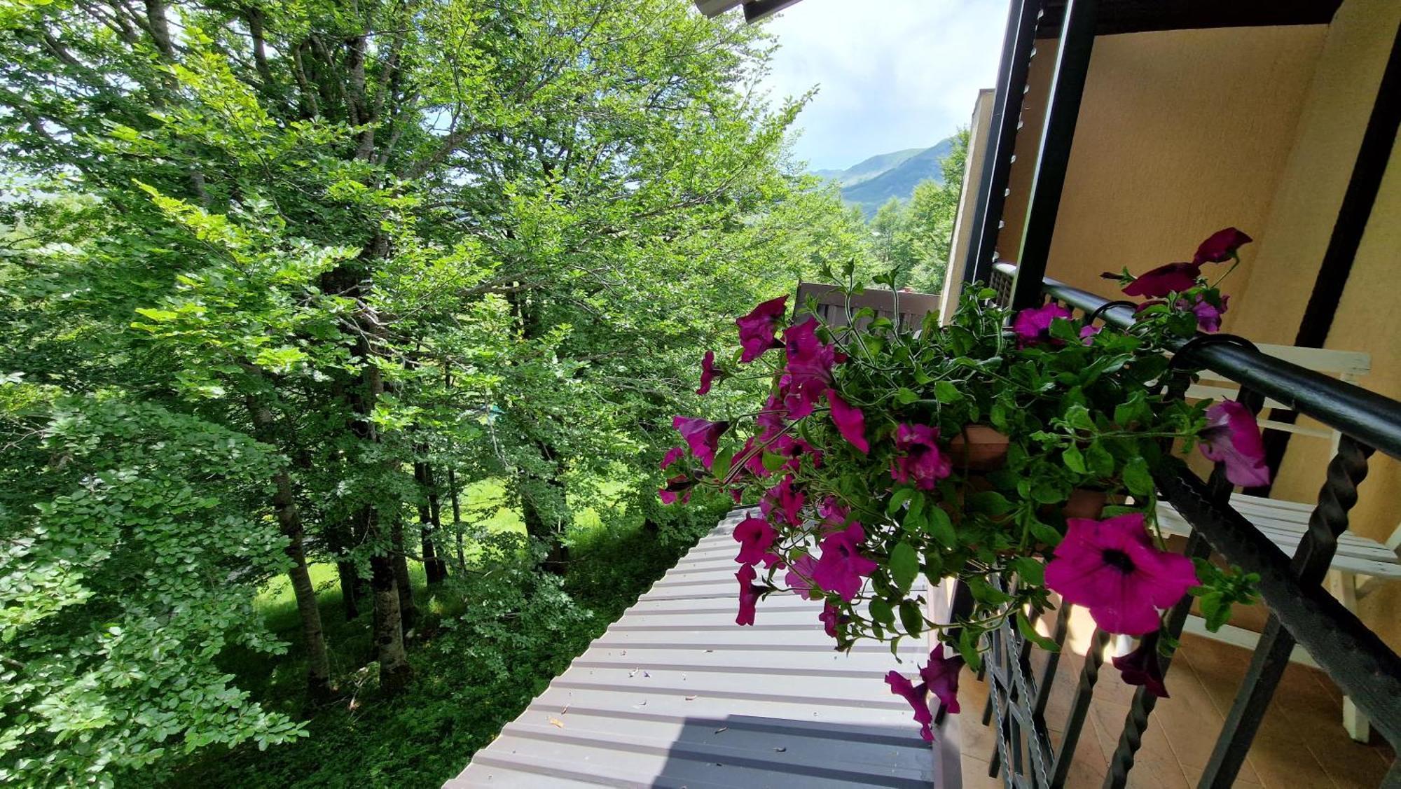 Gorska Vila Apartments Žabljak Chambre photo