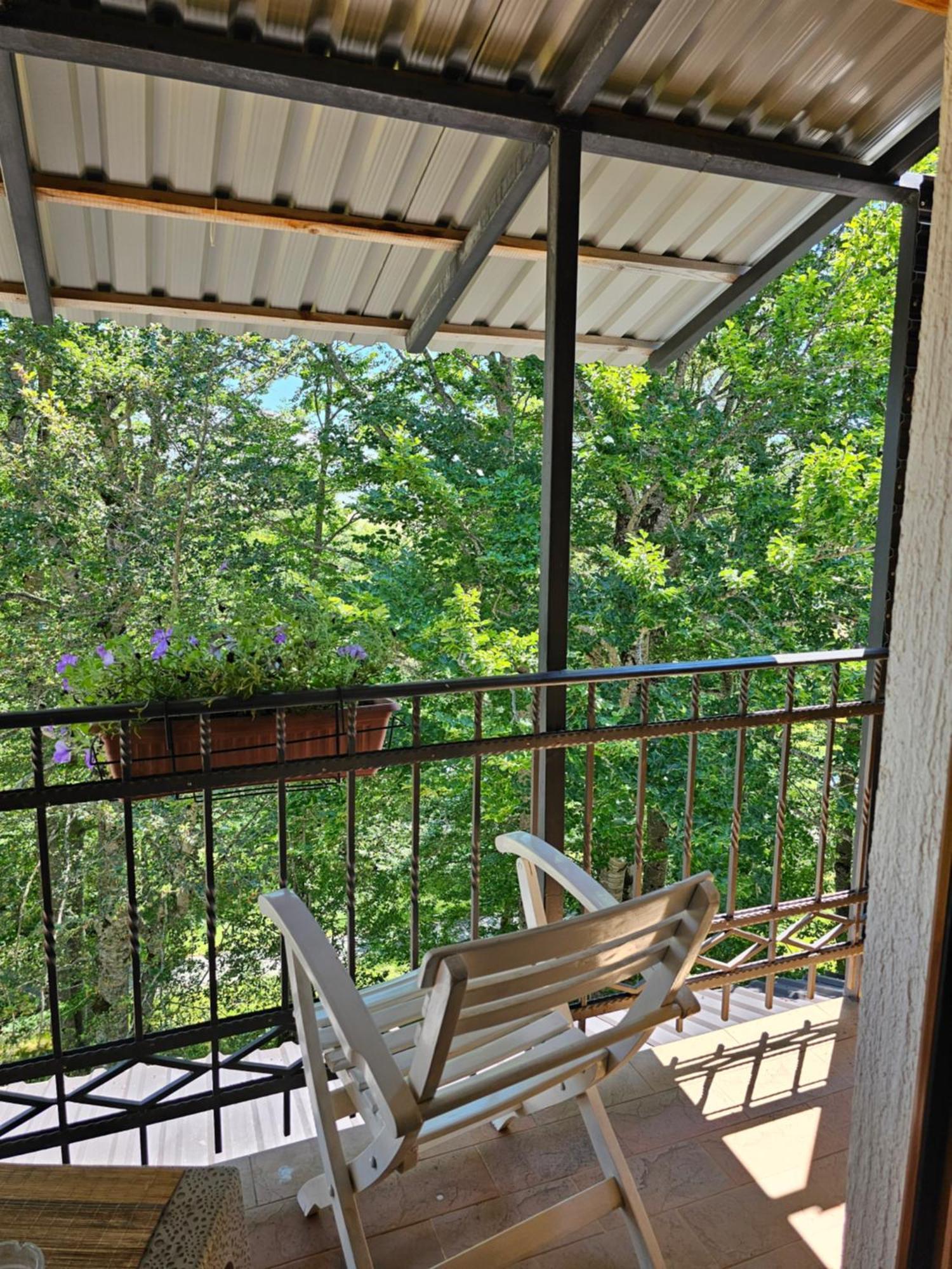 Gorska Vila Apartments Žabljak Extérieur photo